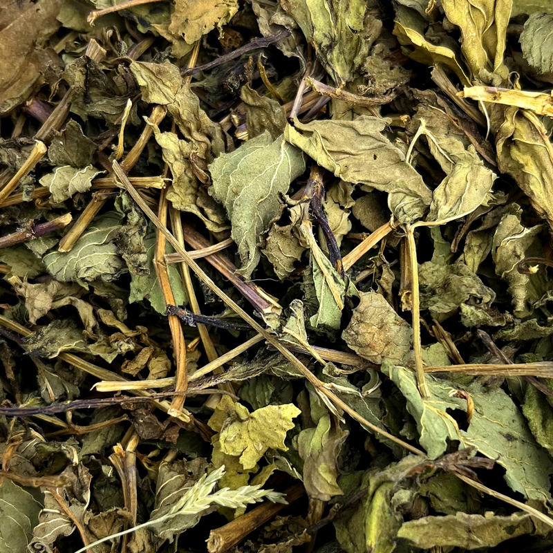Peppermint leaves