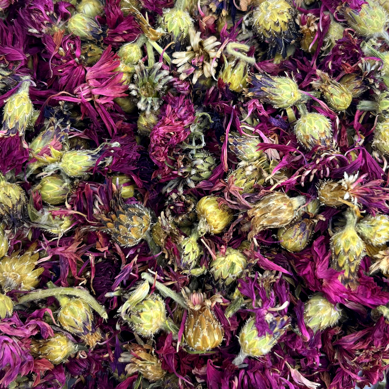 Red cornflowers