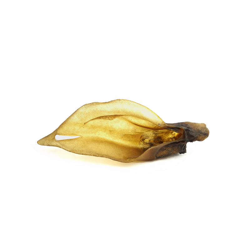 Deer ear