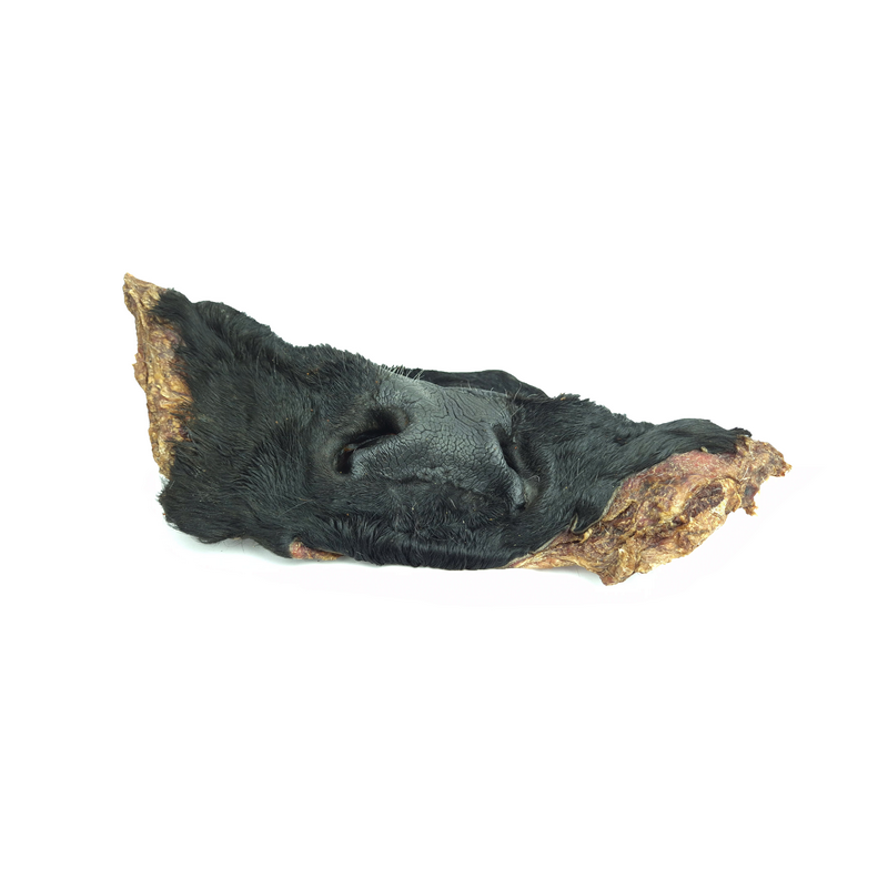Beef snout with hair