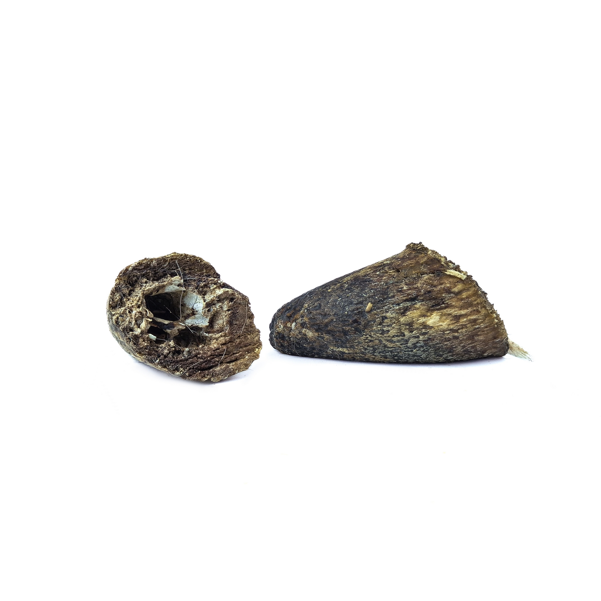 Beef horn core