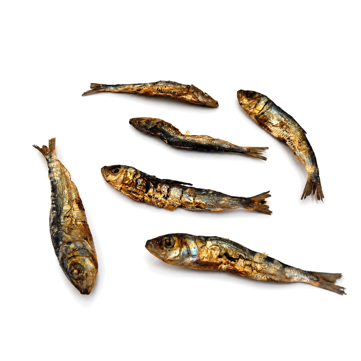 Sardines