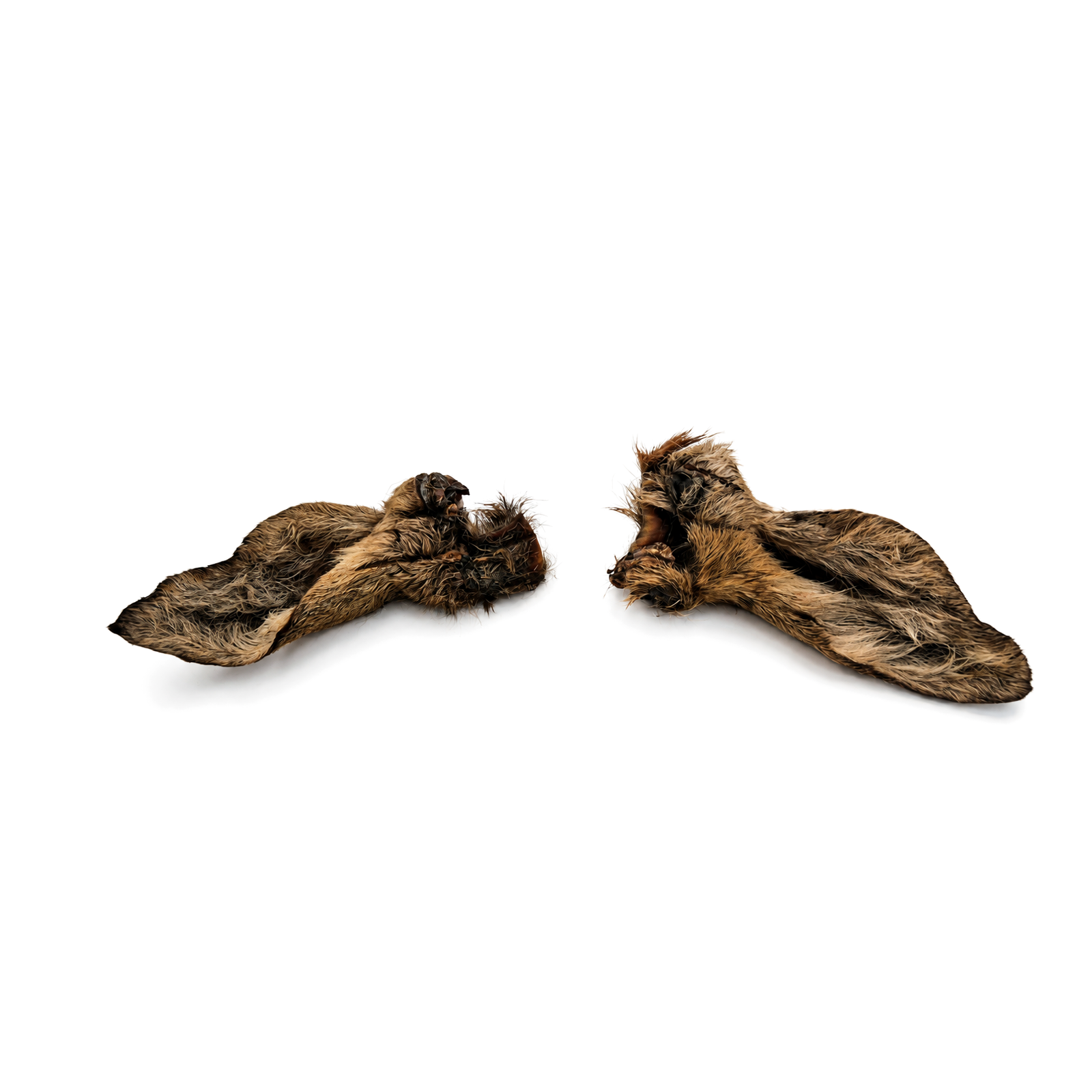 Venison ear with fur