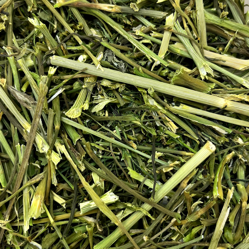 Dill