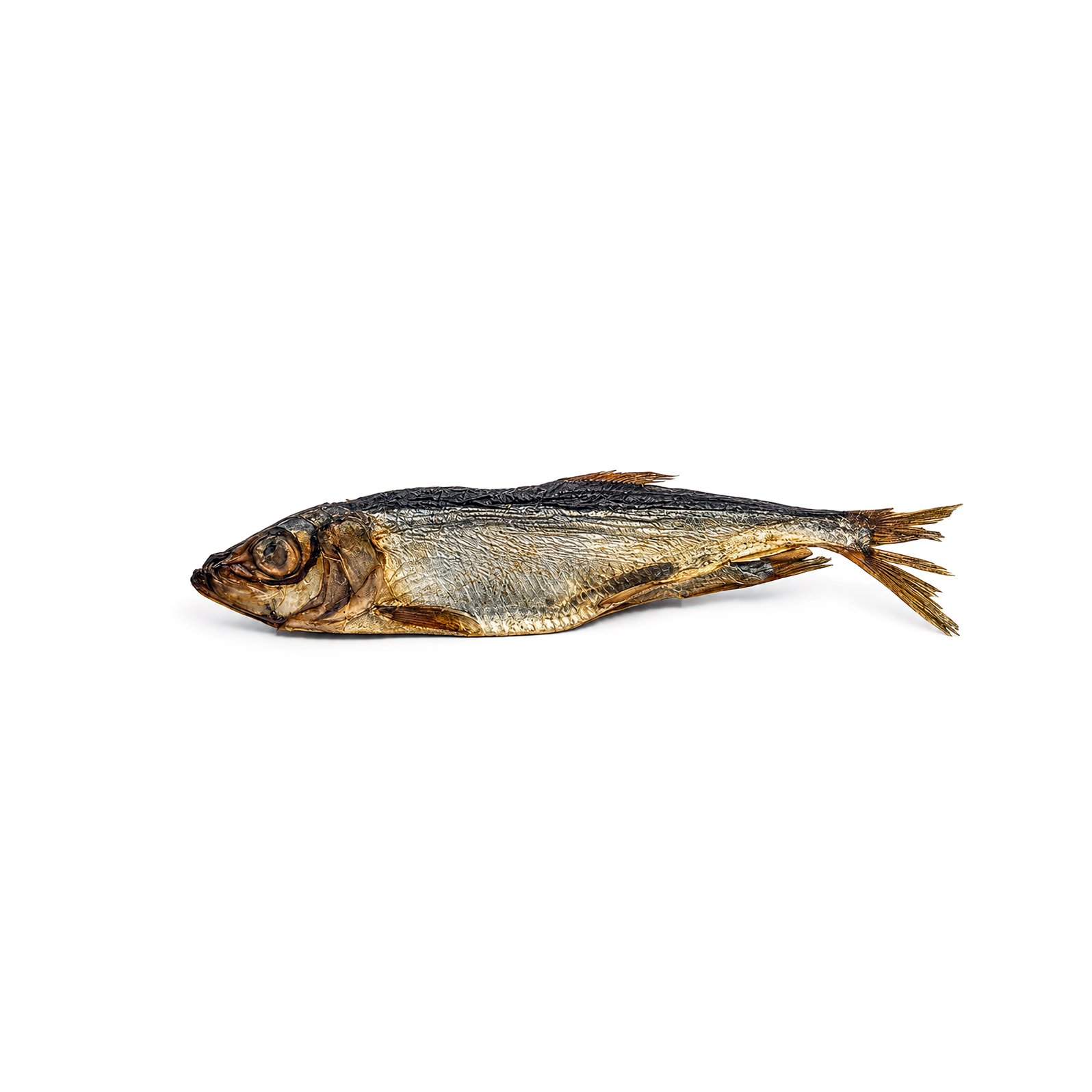 Herring