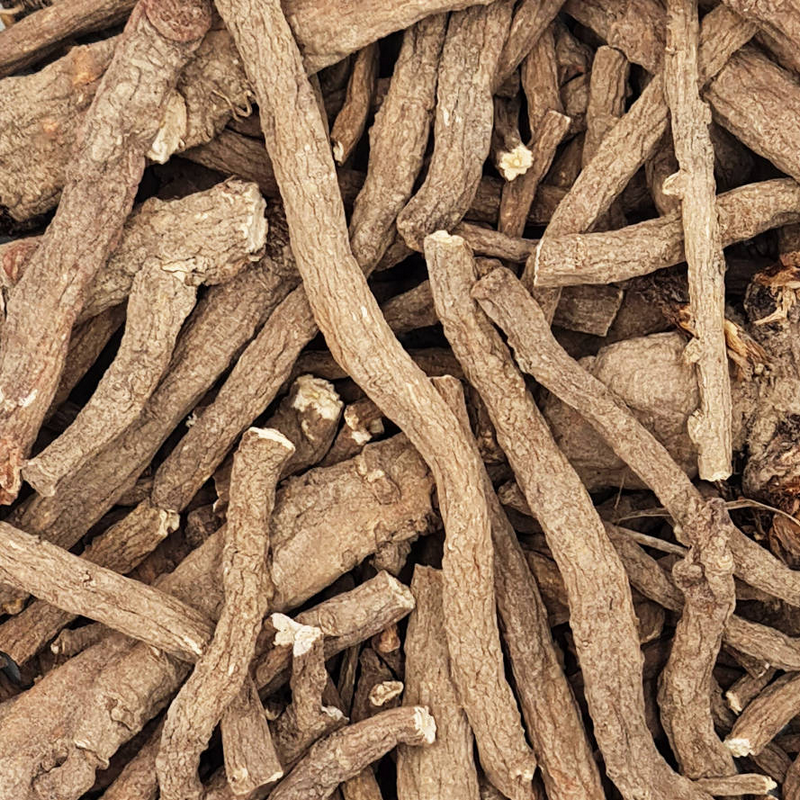 Dandelion root