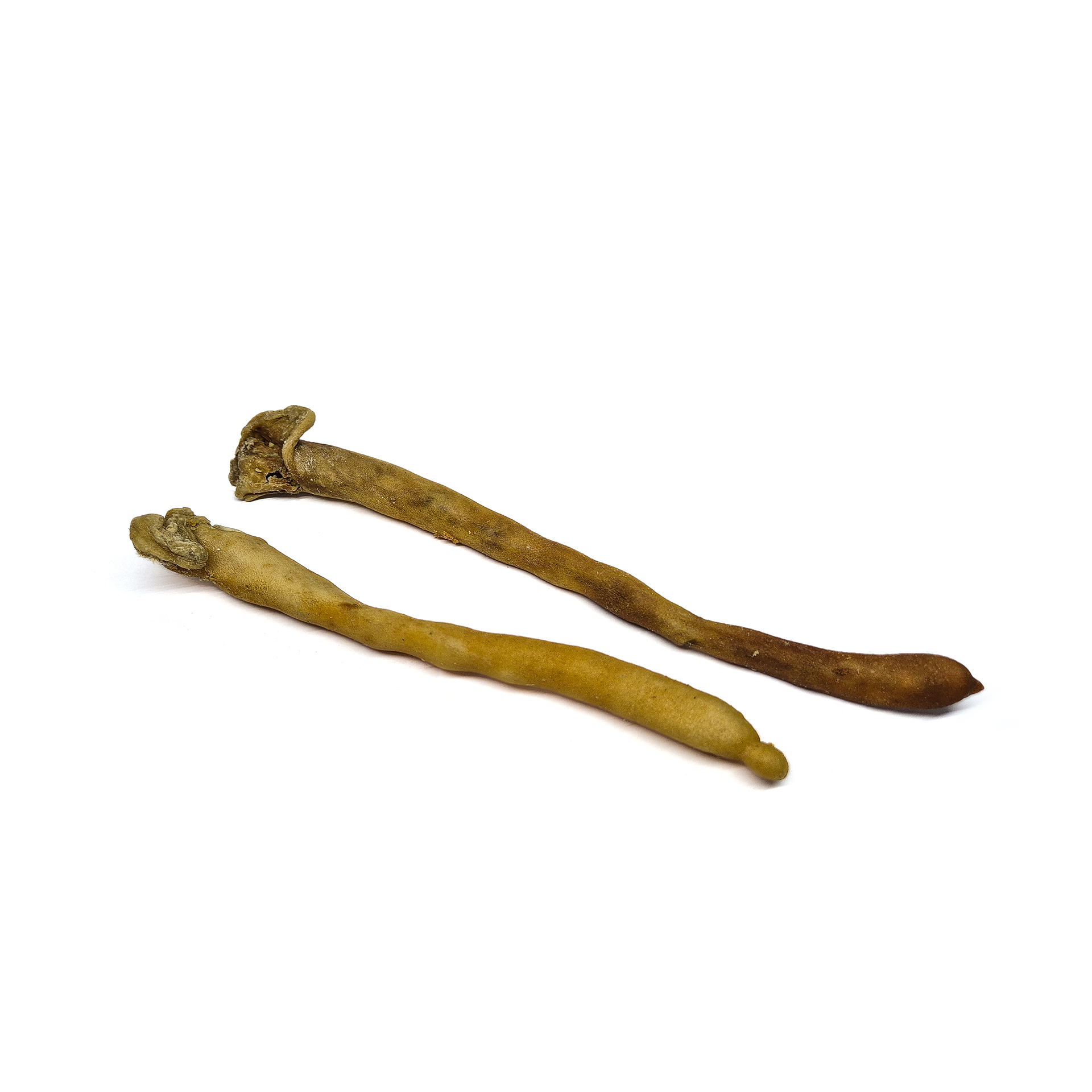 Lamb tail