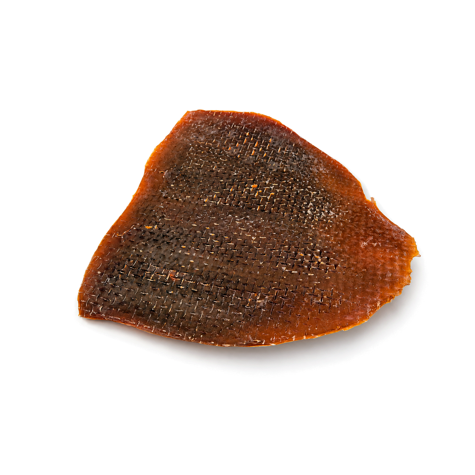 Squid plate XL