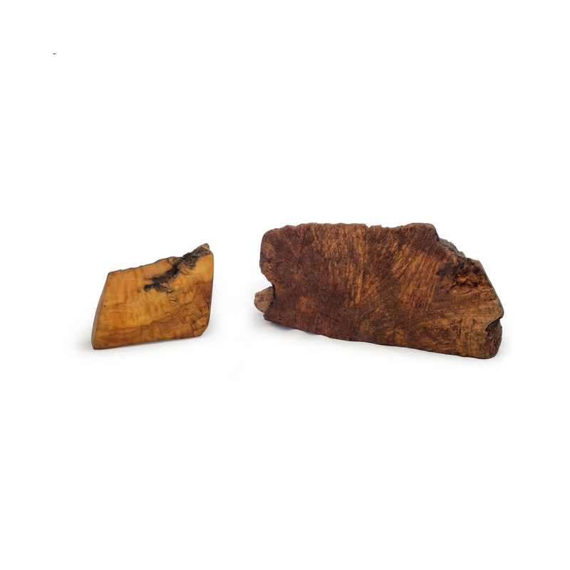 Olive wood root