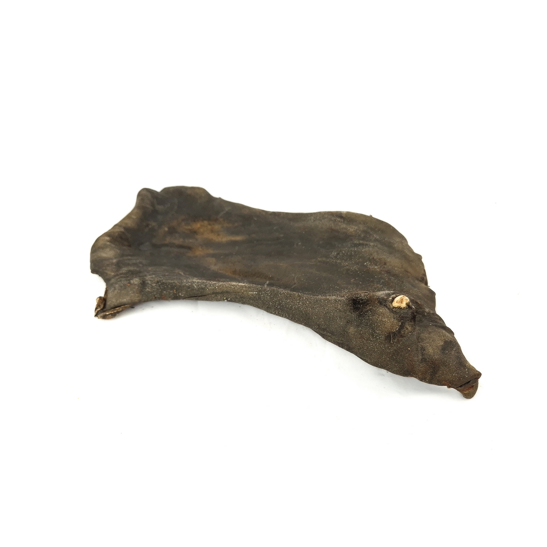 Horse meat slab