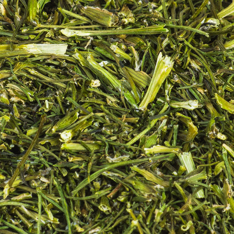 Coriander stems
