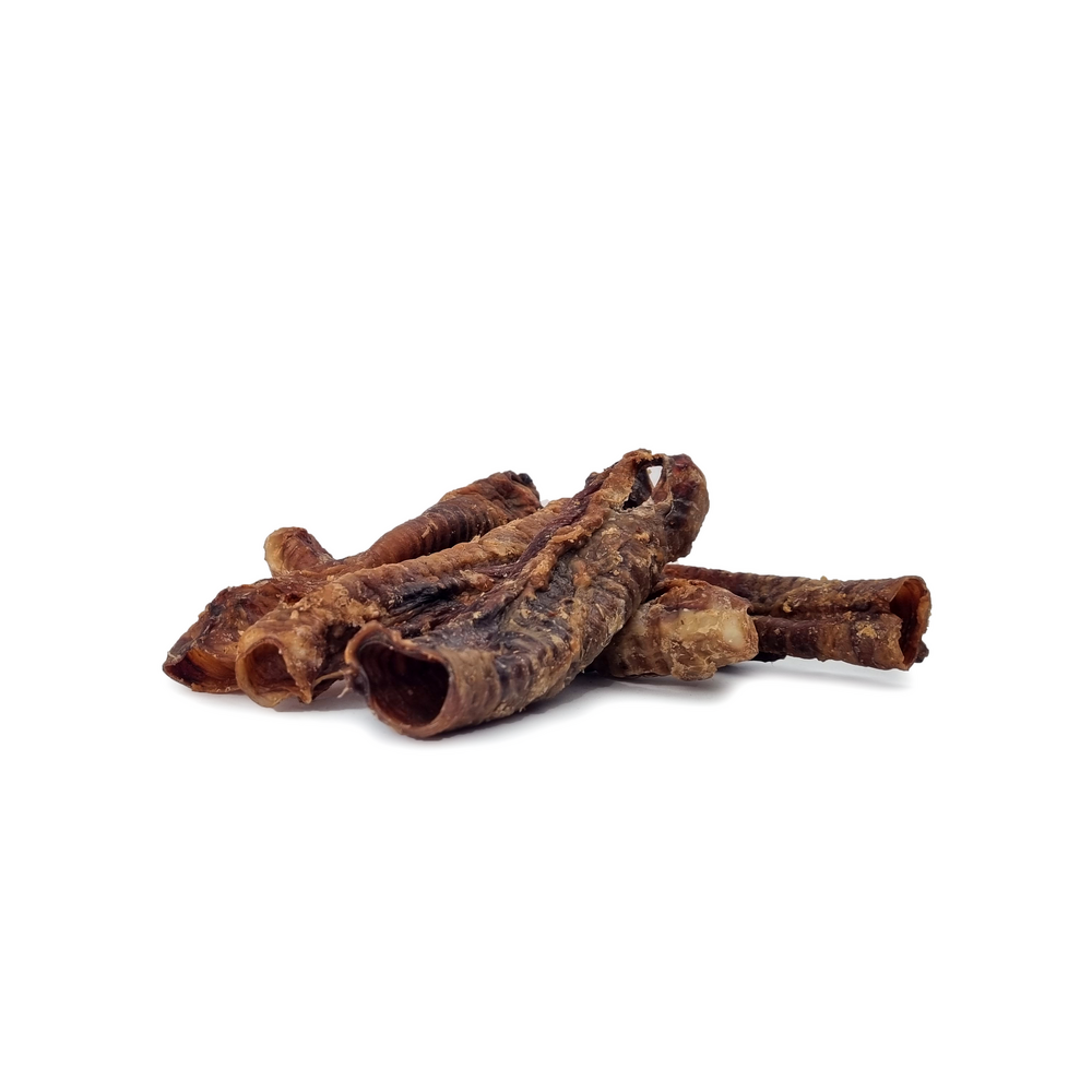 Lamb trachea