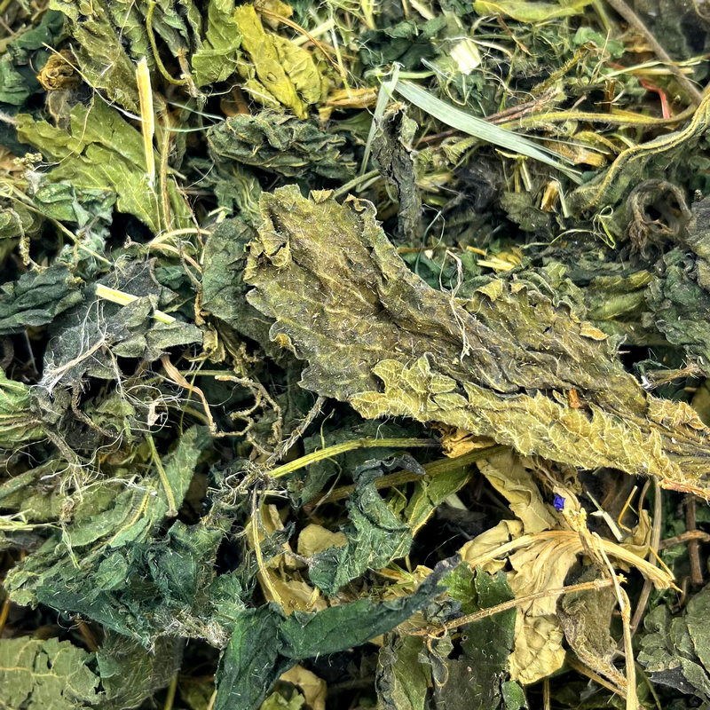 Nettle leaves