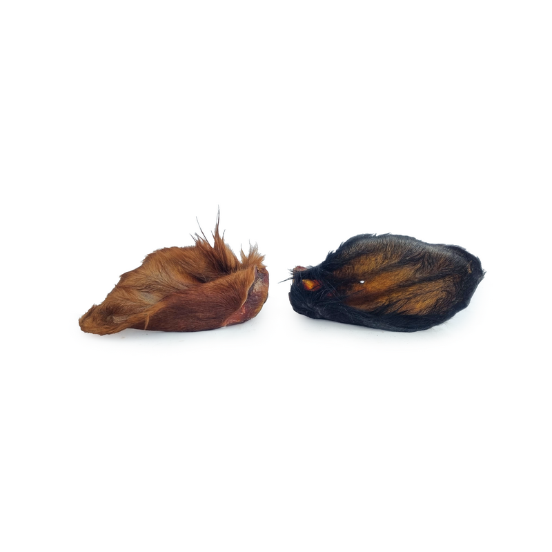 Beef ear with fur