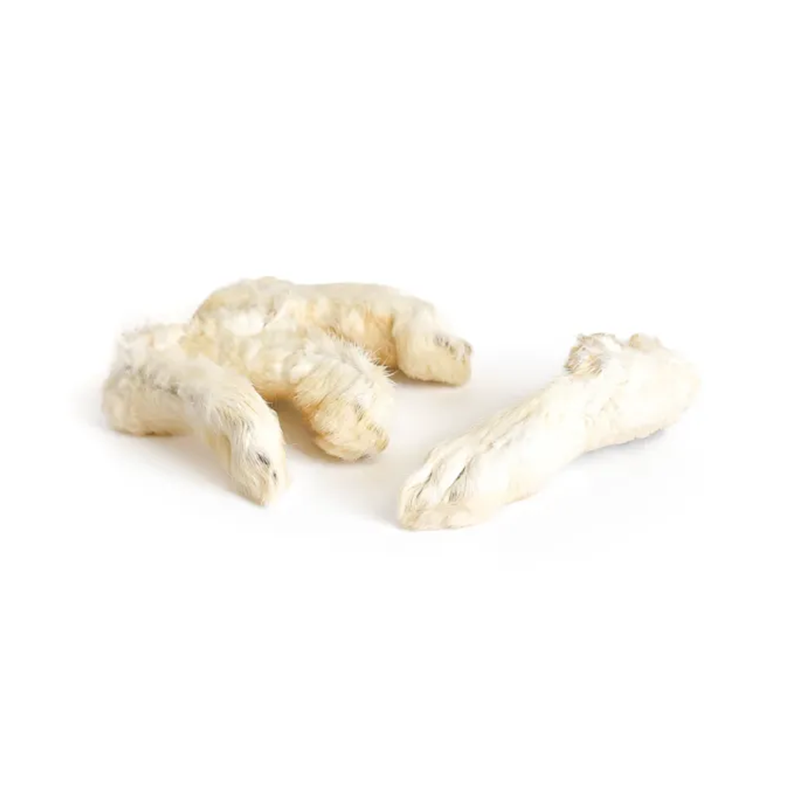 Rabbit feet with fur
