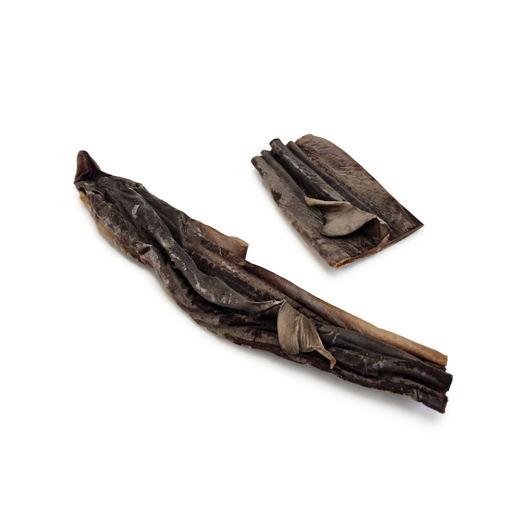 Cut spiny dogfish