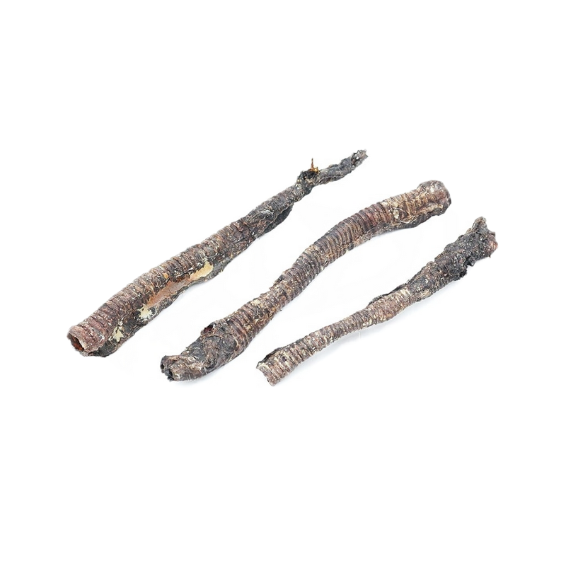 Mini deer trachea
