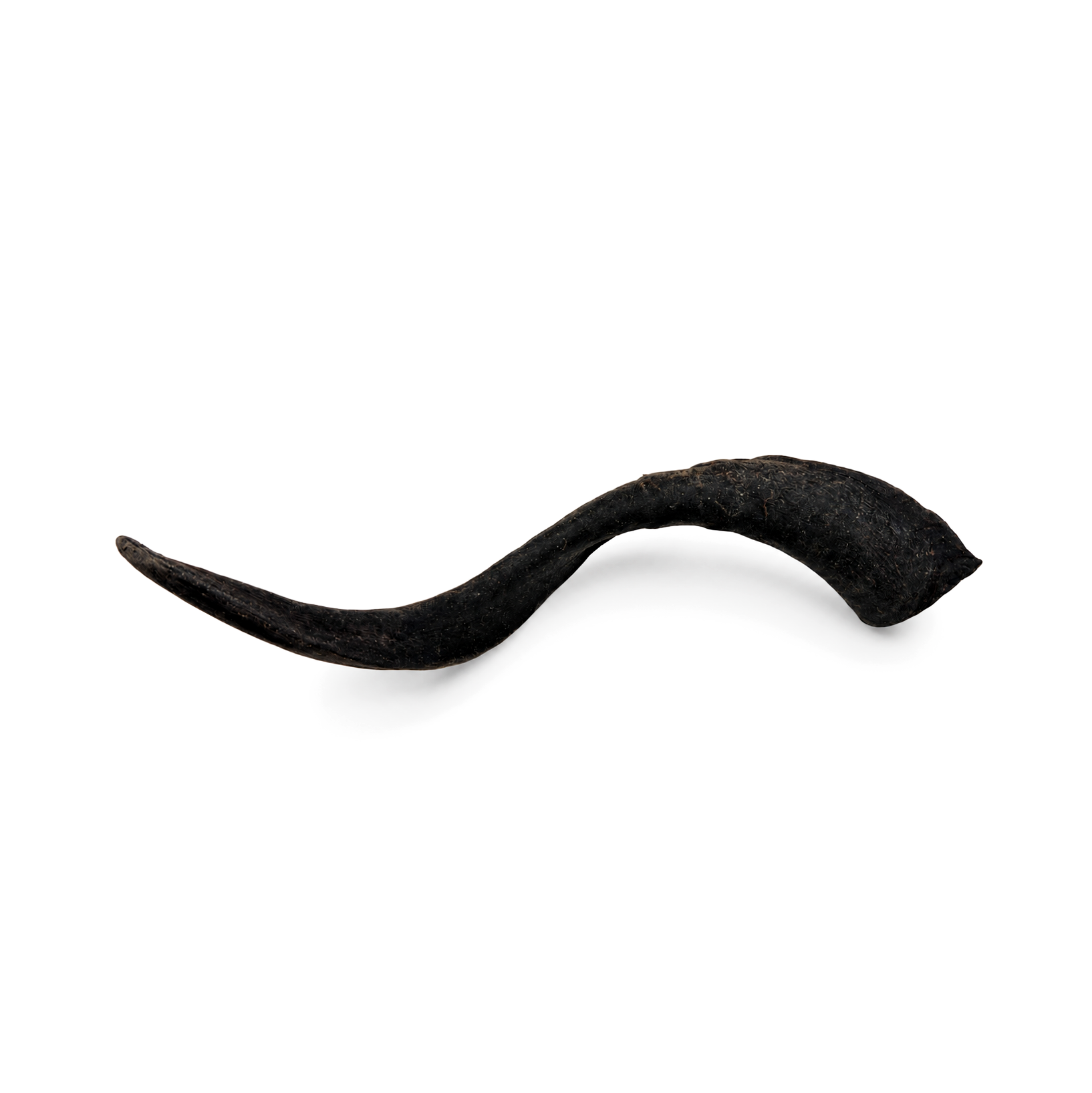 Goat horn