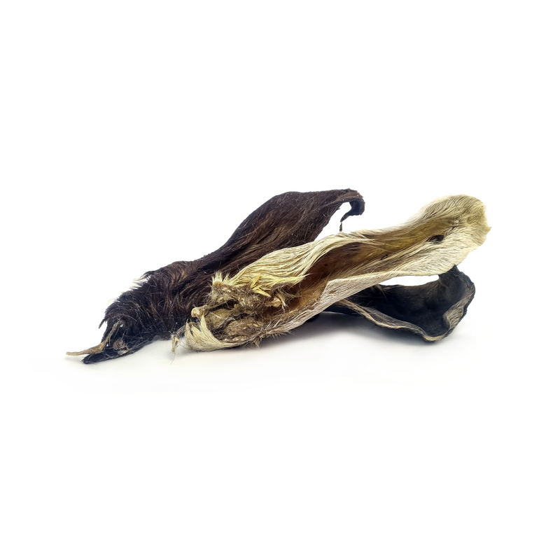 Goat ear with fur