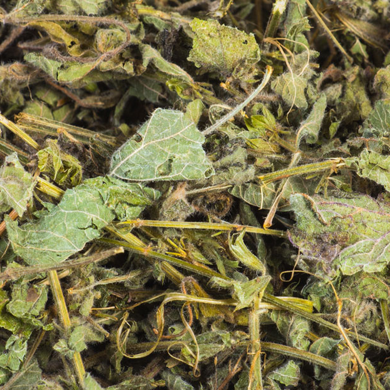 Lemon balm leaves