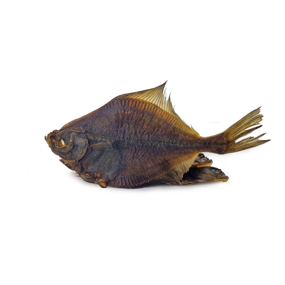 Plaice