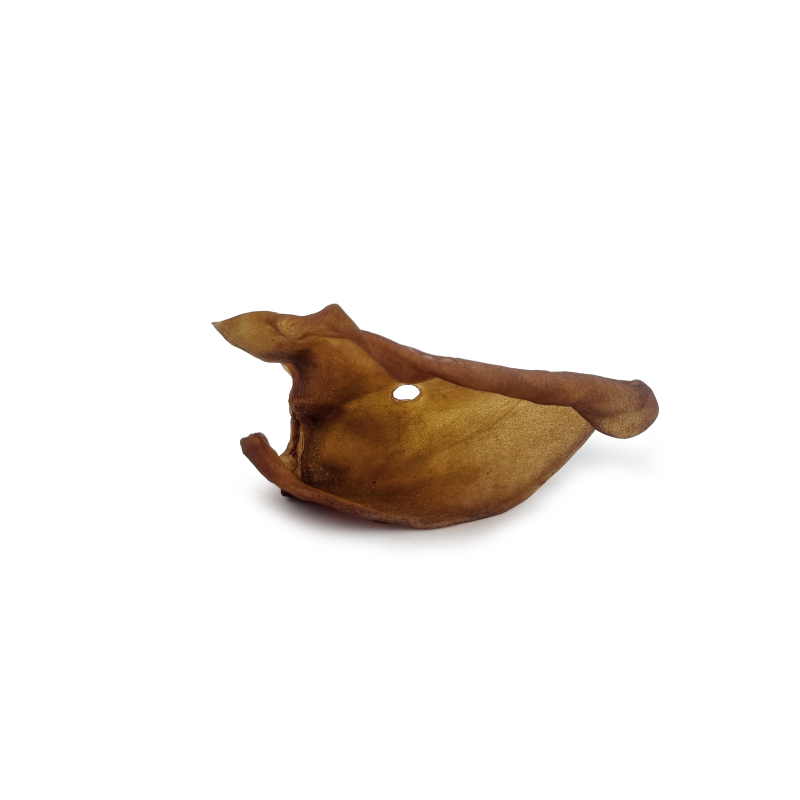Lamb ear