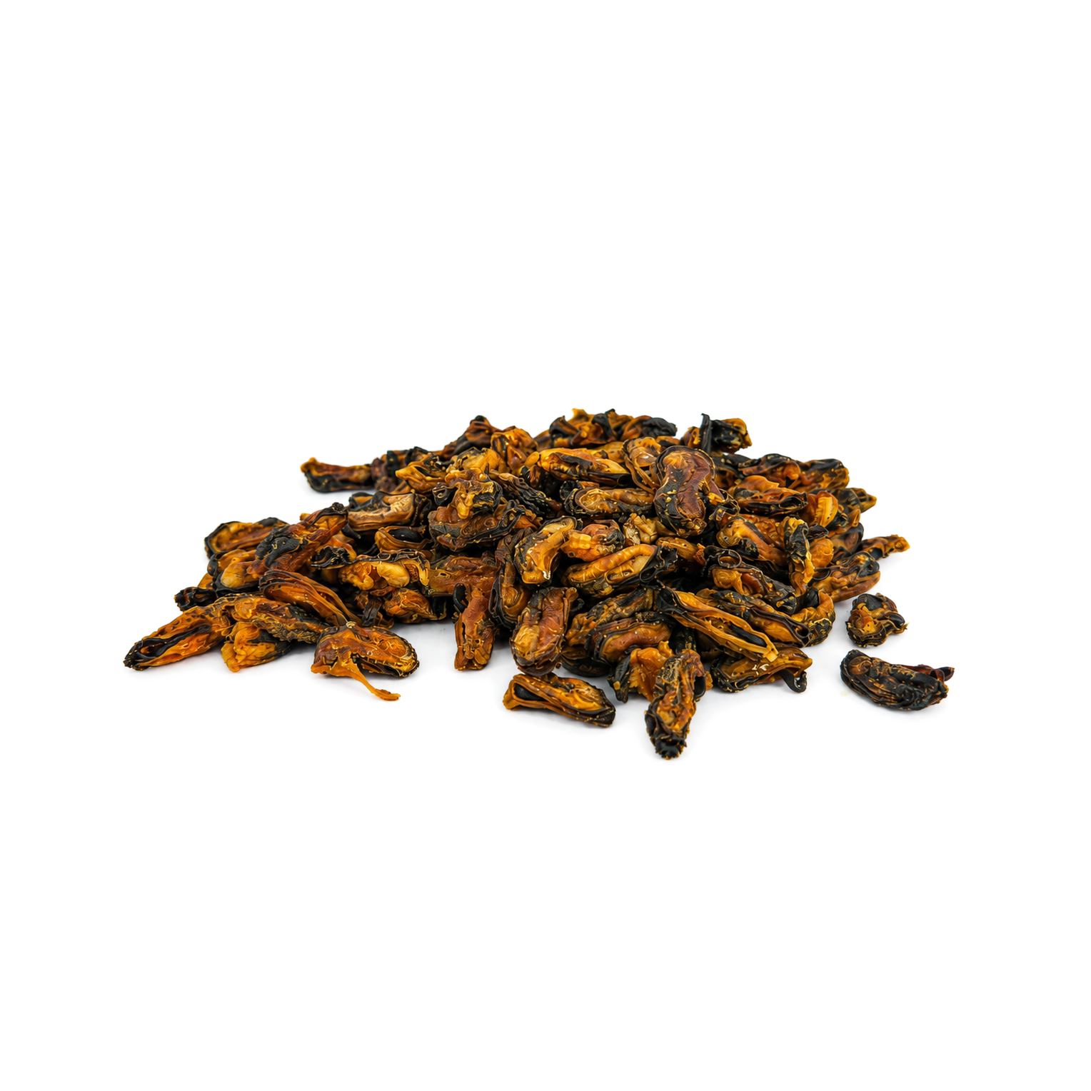 Mussels