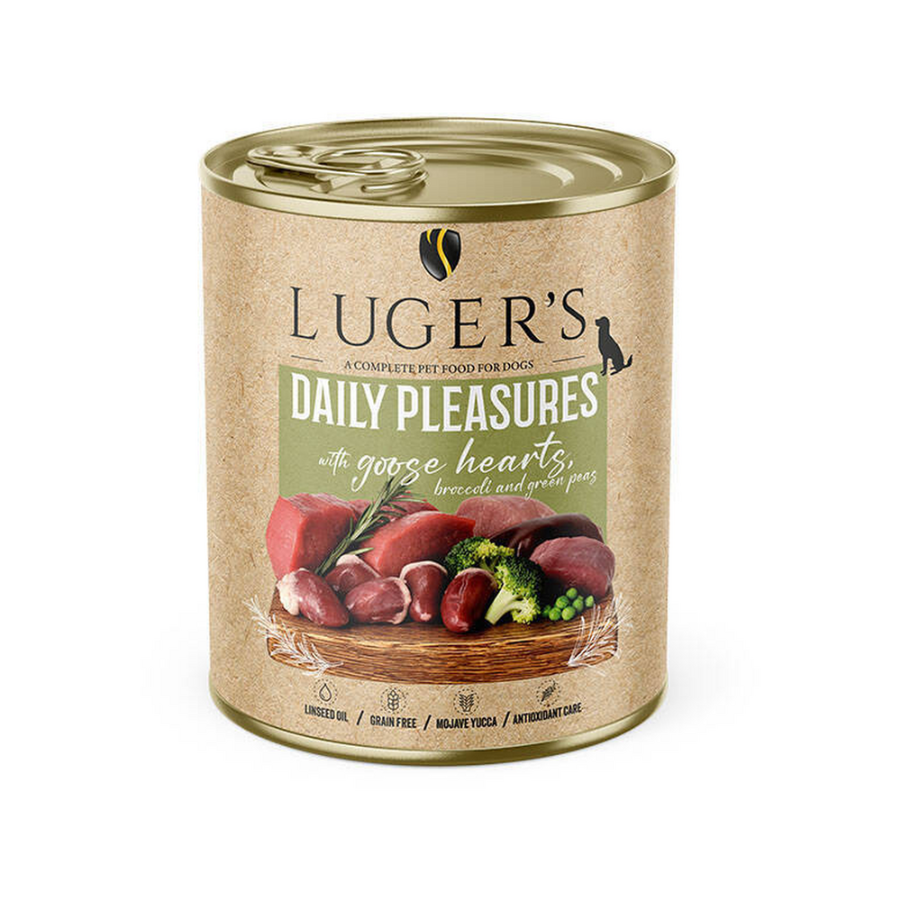 800G