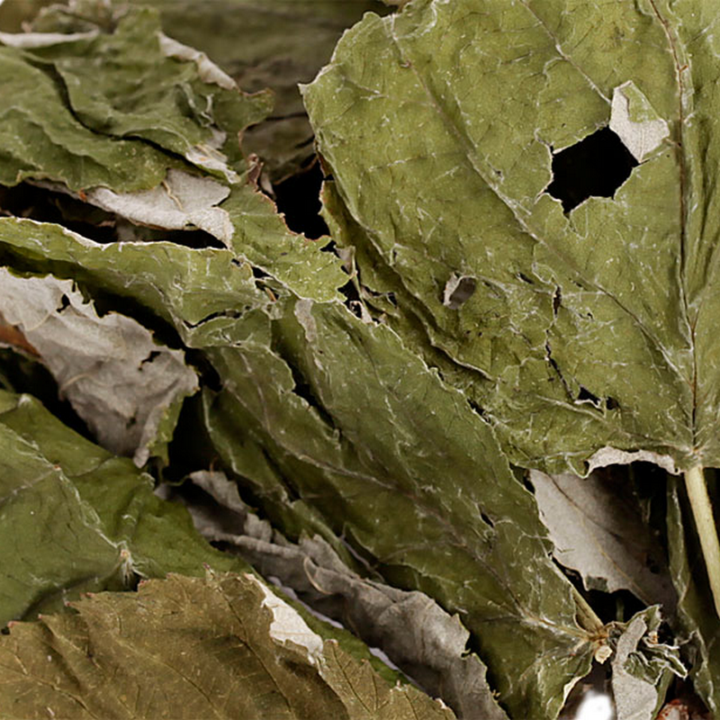 Raspberry leaves