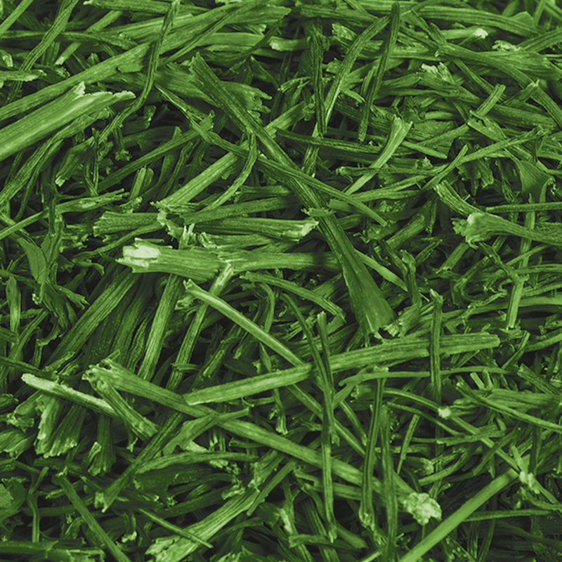 Parsley stems