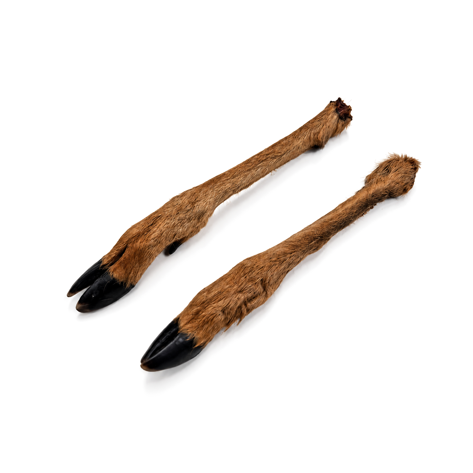 Venison feet with fur