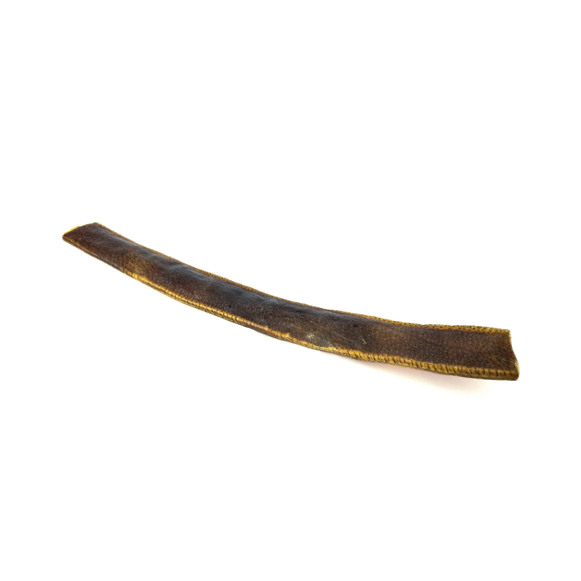 Wild boar skin 50CM