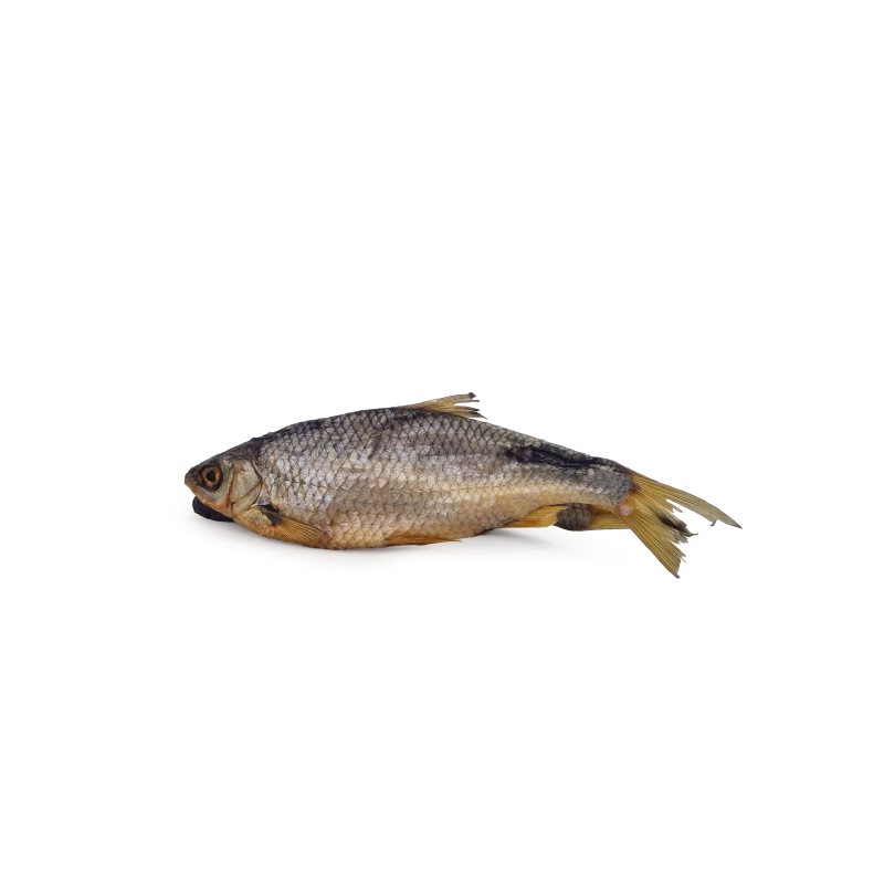 Roach