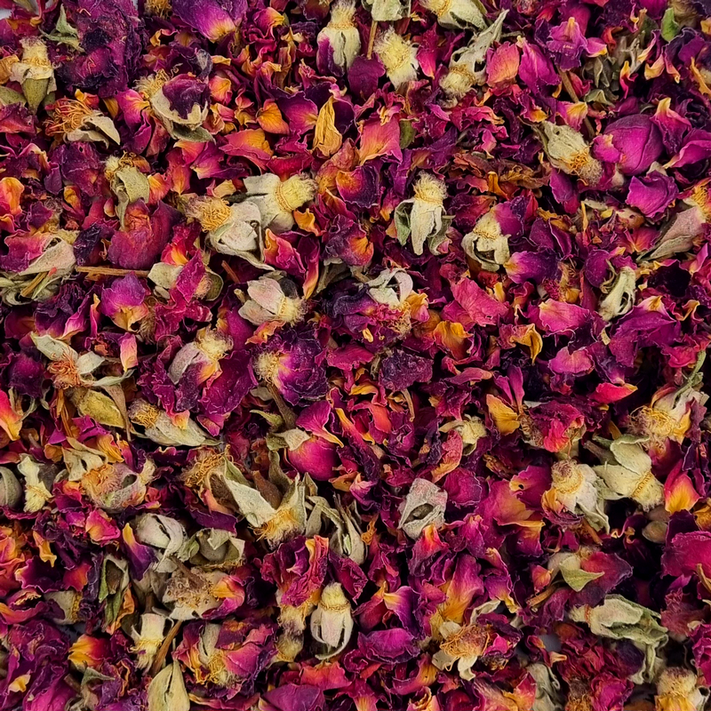 Rose flowers