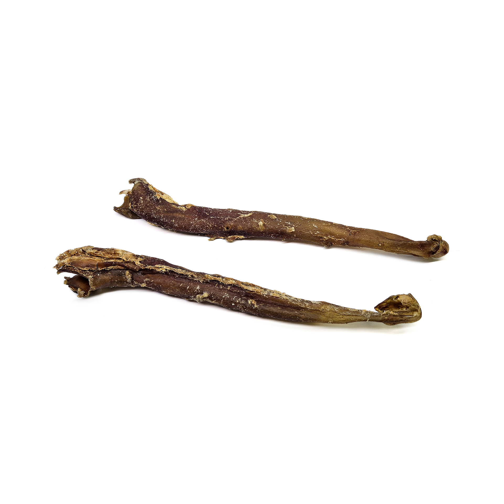 Buffalo aorta