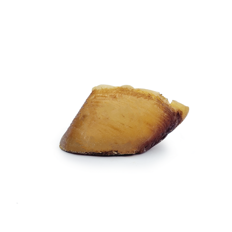 Sabot de boeuf