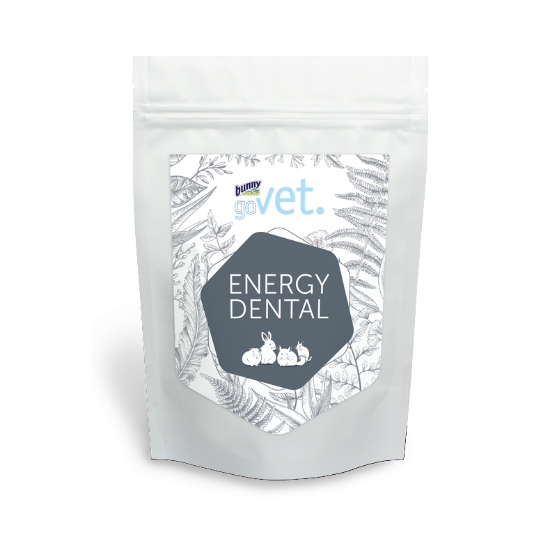 goVet ENERGY DENTAL