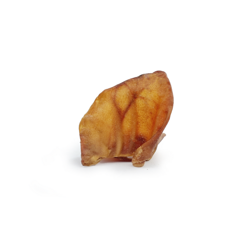 Oreille de porc