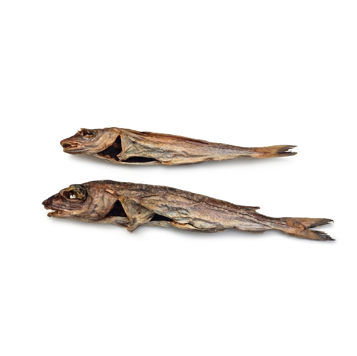 Haddock