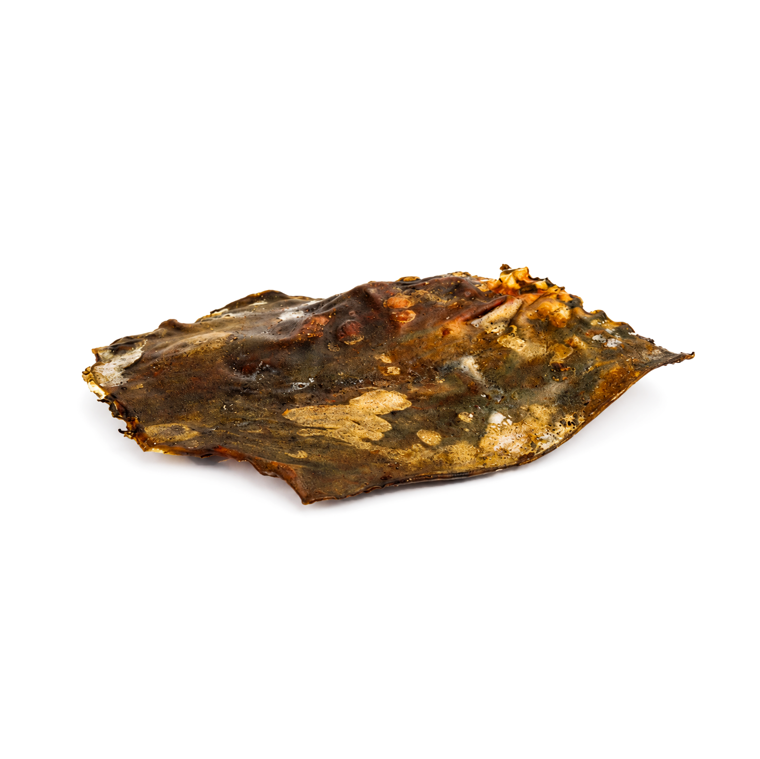 Deer plate