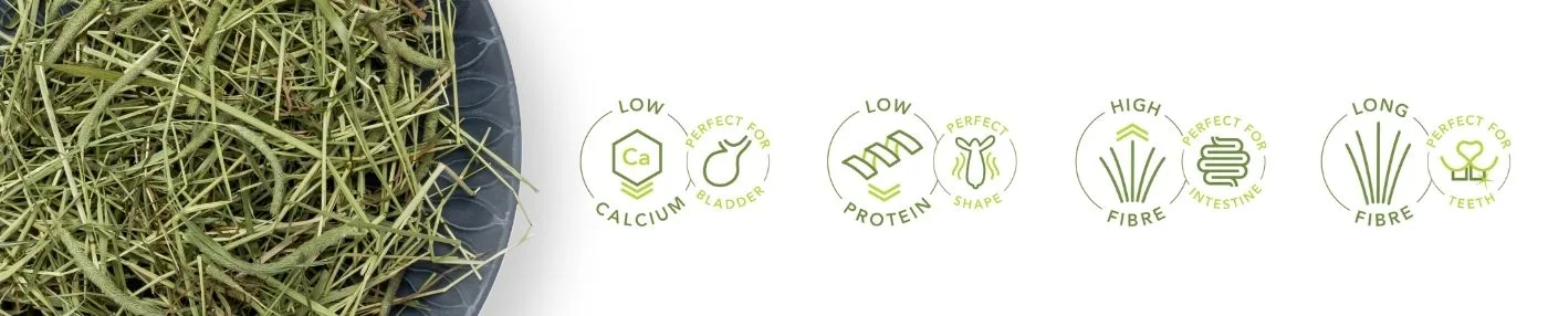 Bunny Nature — Foin Timothy, qualité premium