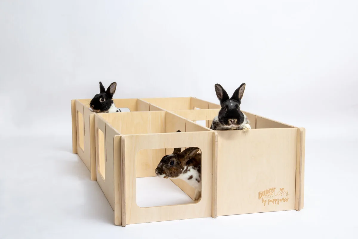 Labyrinthe interactif pour lapins — Bunny Nature