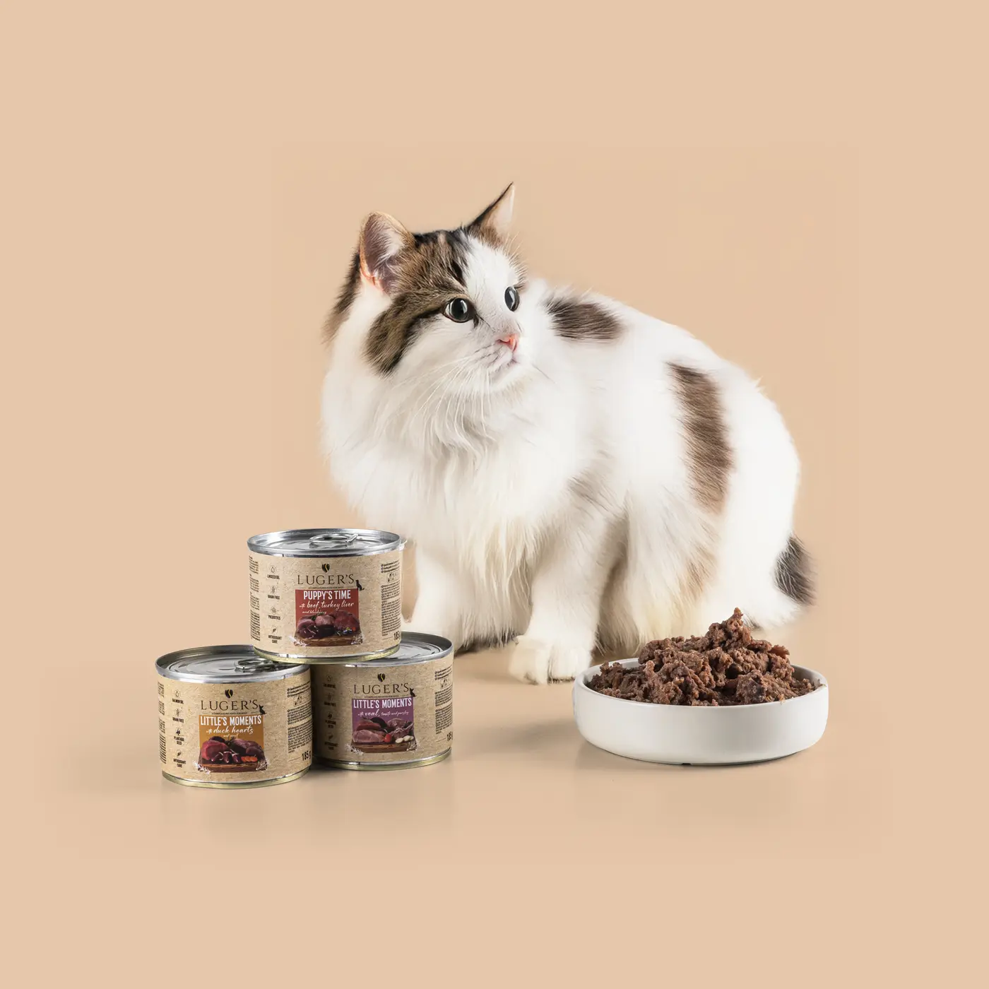 Cat with Luger's wet food