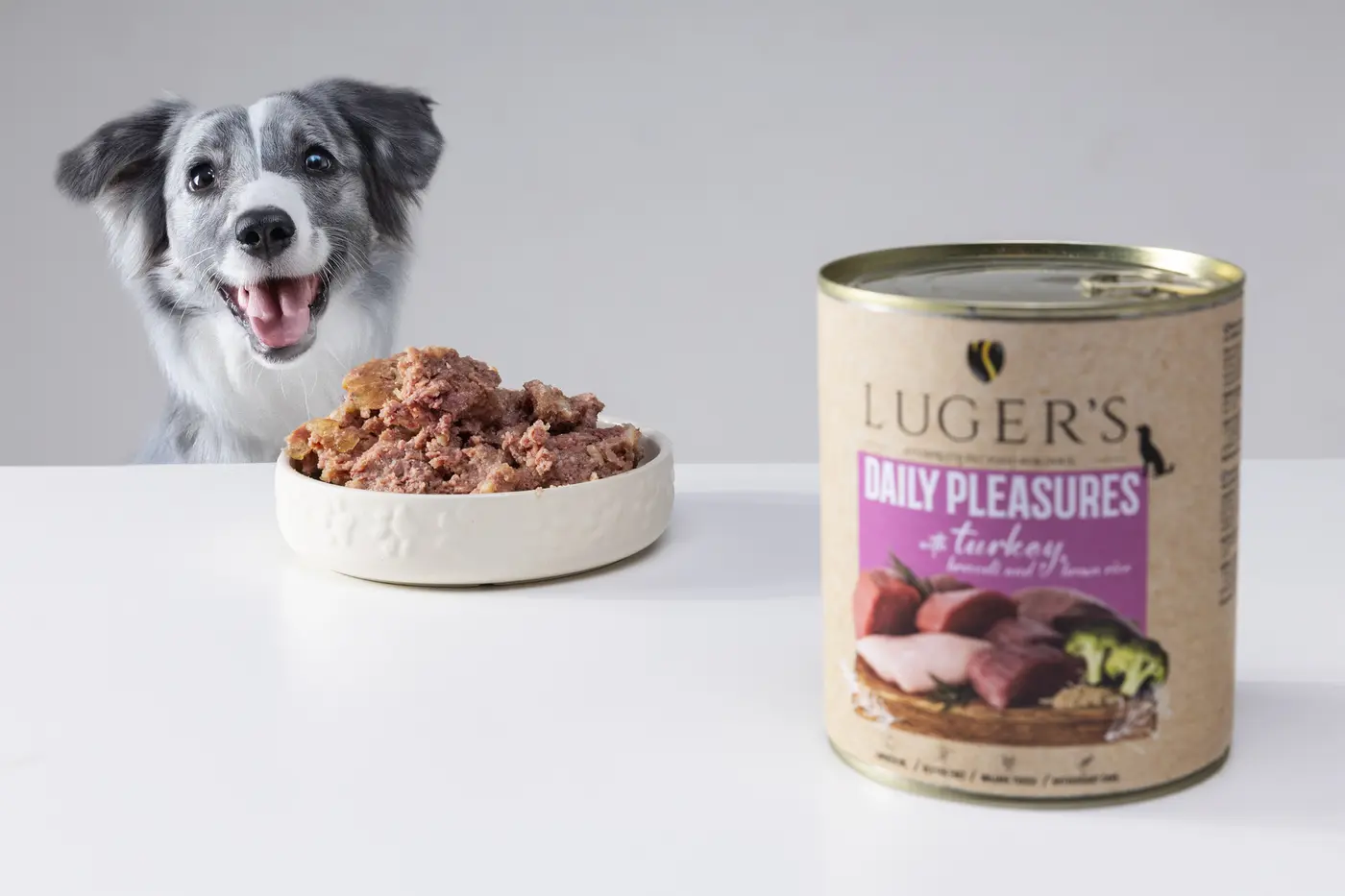 Dog with Luger's Daily Pleasures wet food